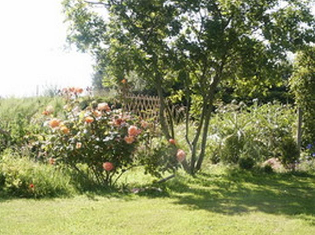 B&B Kerlilou Plouguiel Экстерьер фото